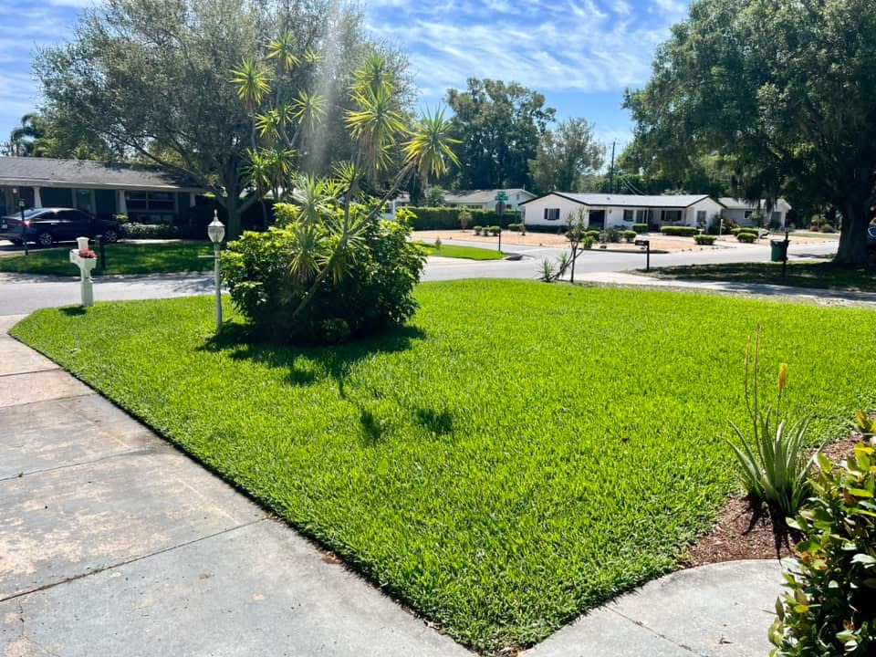 Residential lawn care and landscape maintenance with healthy green grass, shrubs, and curb appeal