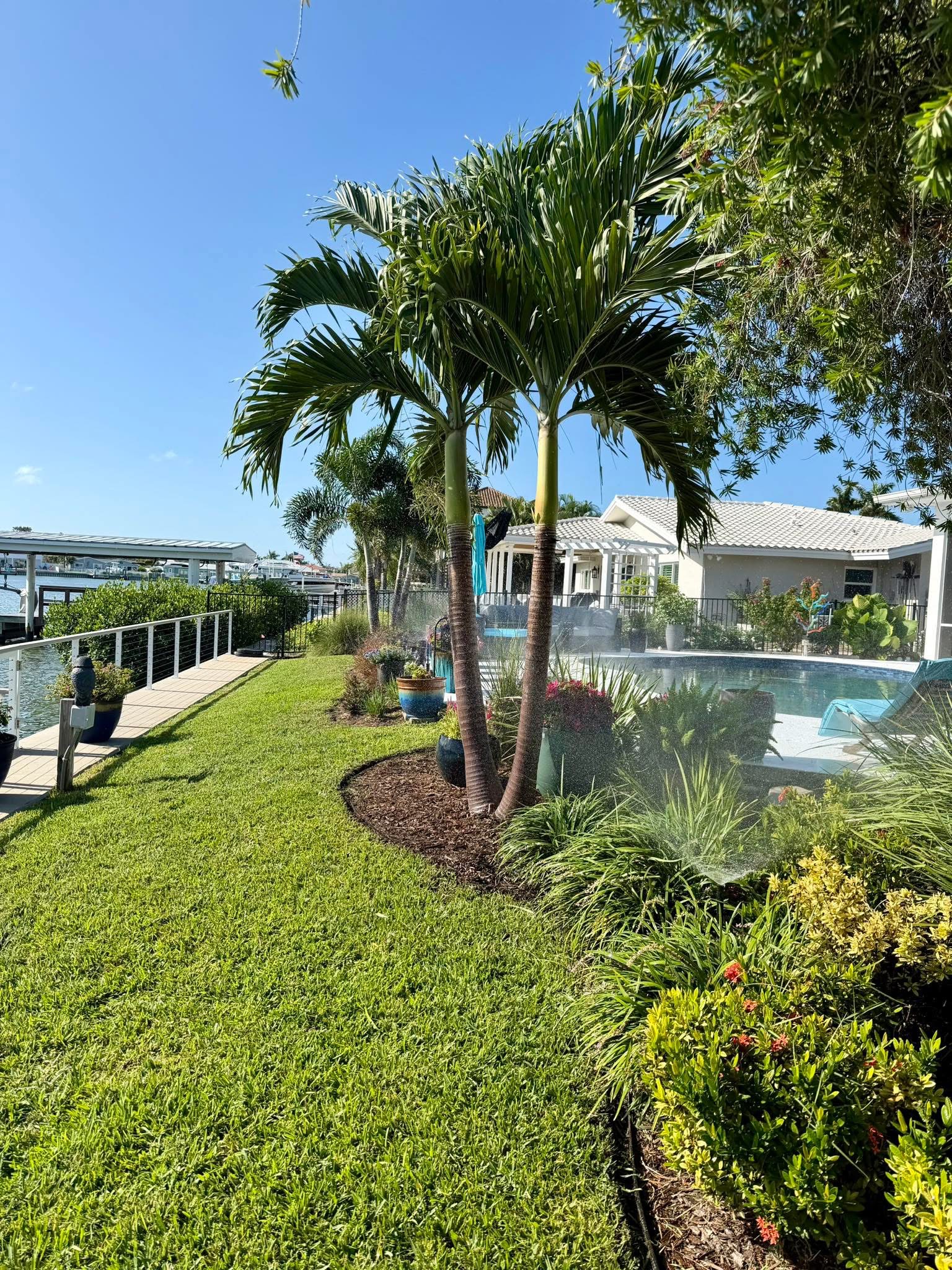 Waterfront pool landscaping with palms, shrubs, lawn care, and sprinkler irrigation running